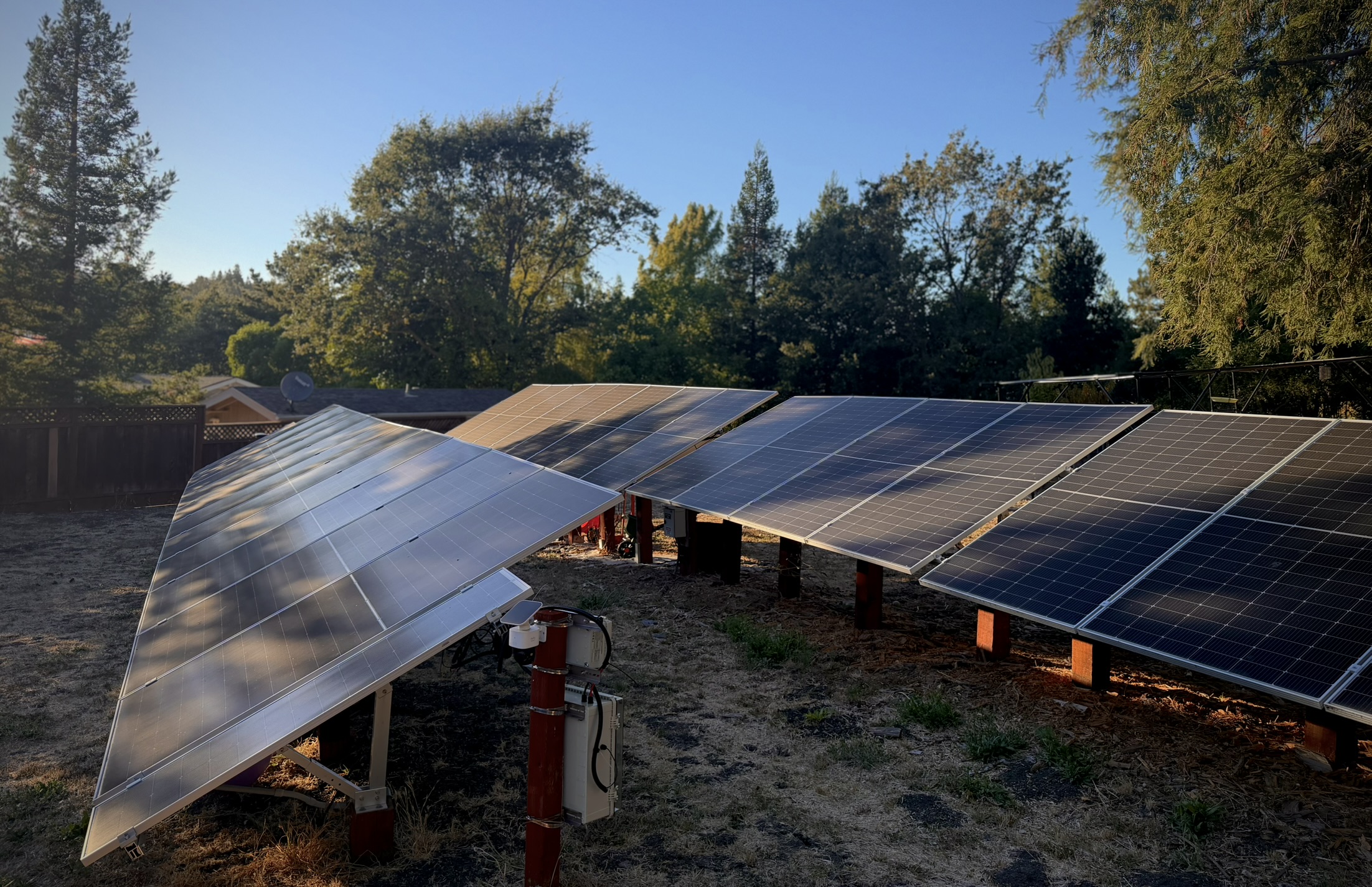 Two rows of solar panels in a grassy plain, surrounded by California native trees. The sky is clear and the sun is setting out of the frame to the left.